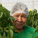 América Latina avanza frente a los riesgos psicosociales en el trabajo, pero persisten desafíos